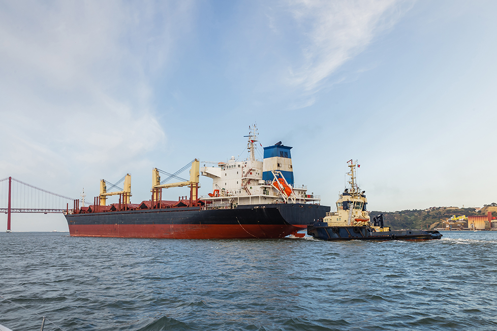 Câmara aprova projeto que abre transporte de carga a navios estrangeiros